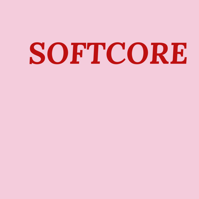 opportunity-details-softcore-publication-curatorspace